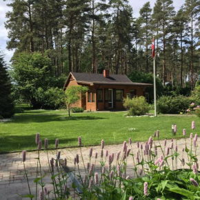 Forest house with outdoor hot tub